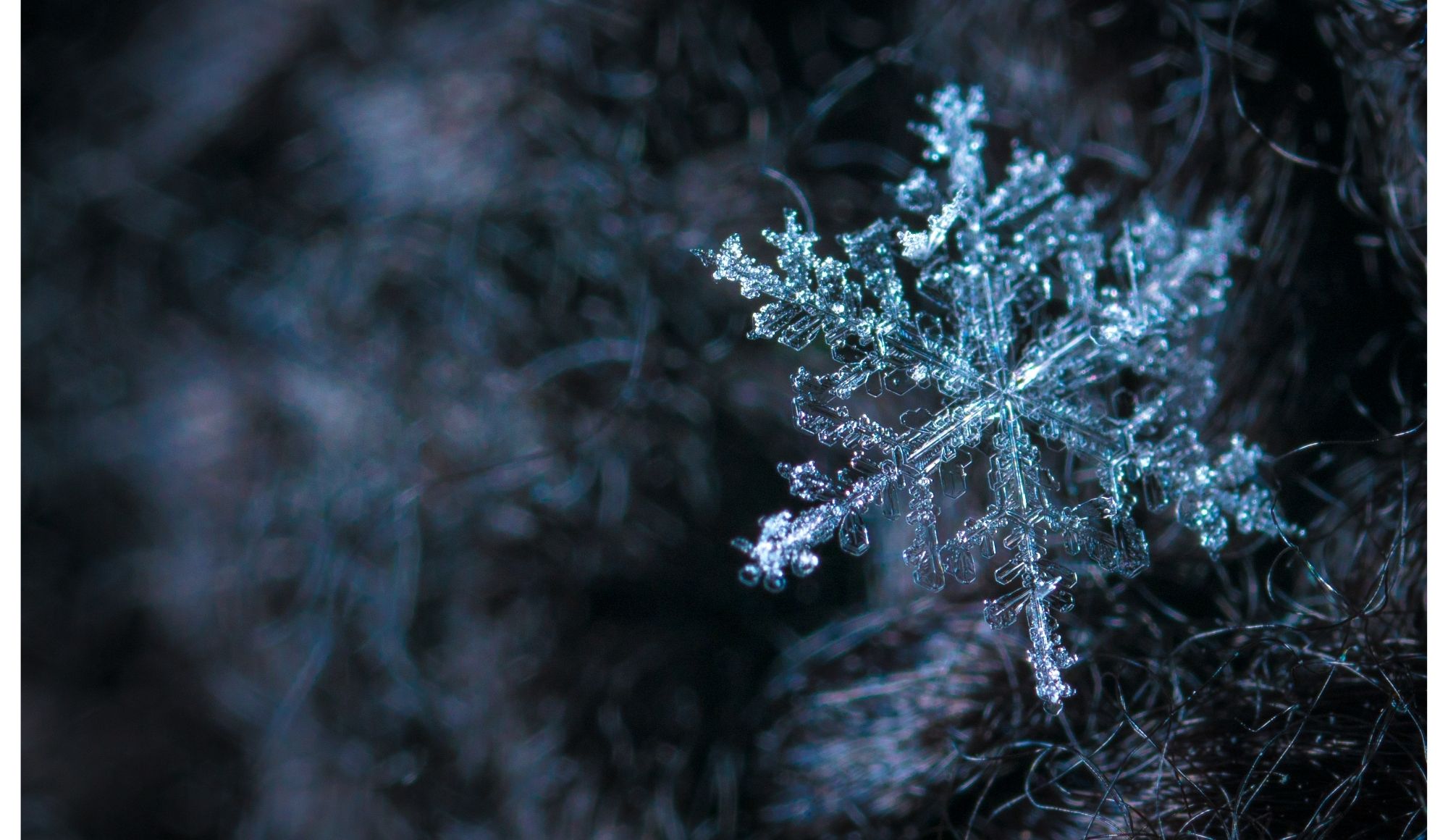 The ONLY Metric Snowflake Investors Care About