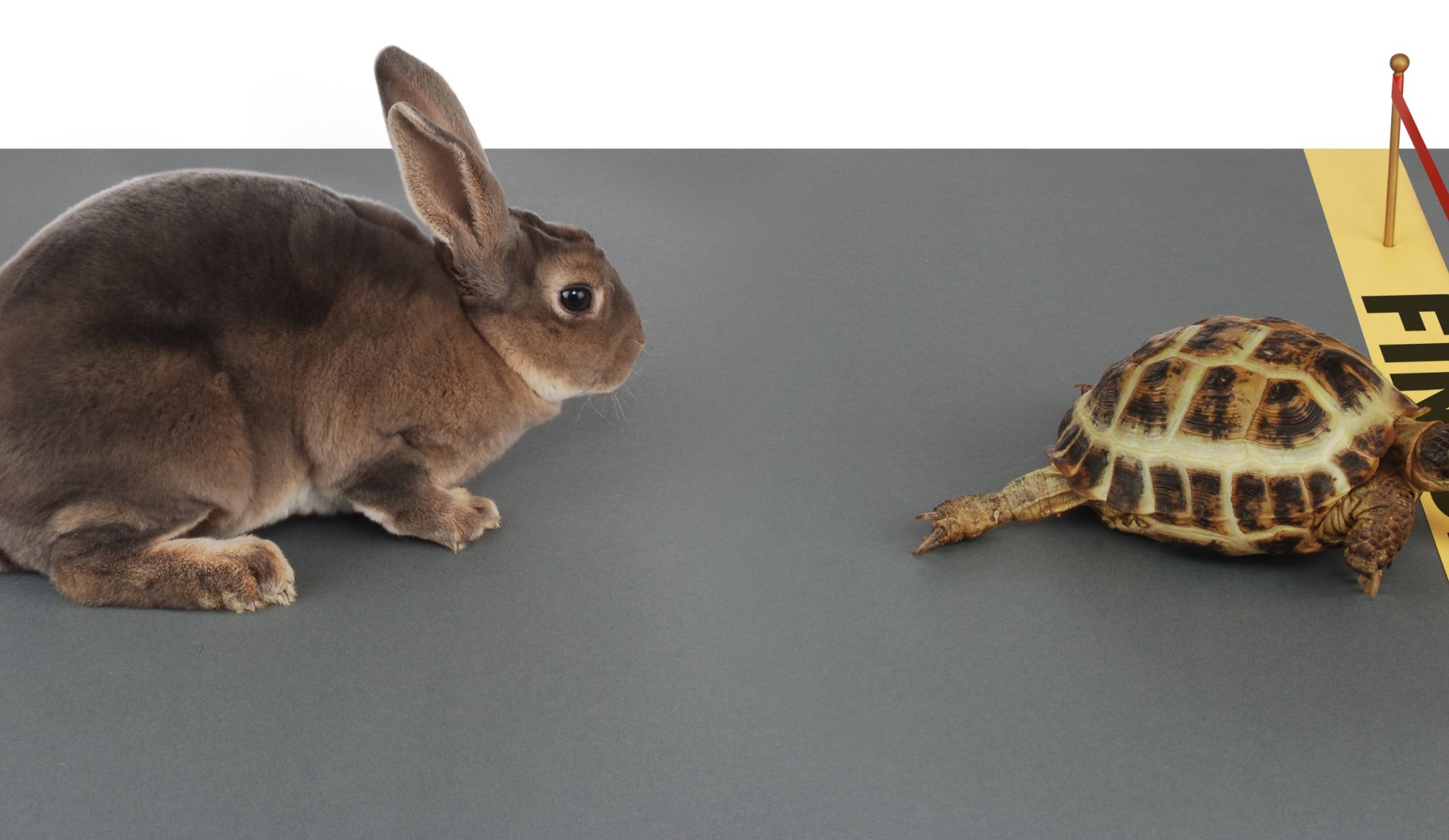 Buffett Wins the Hare vs Tortoise Race, Again