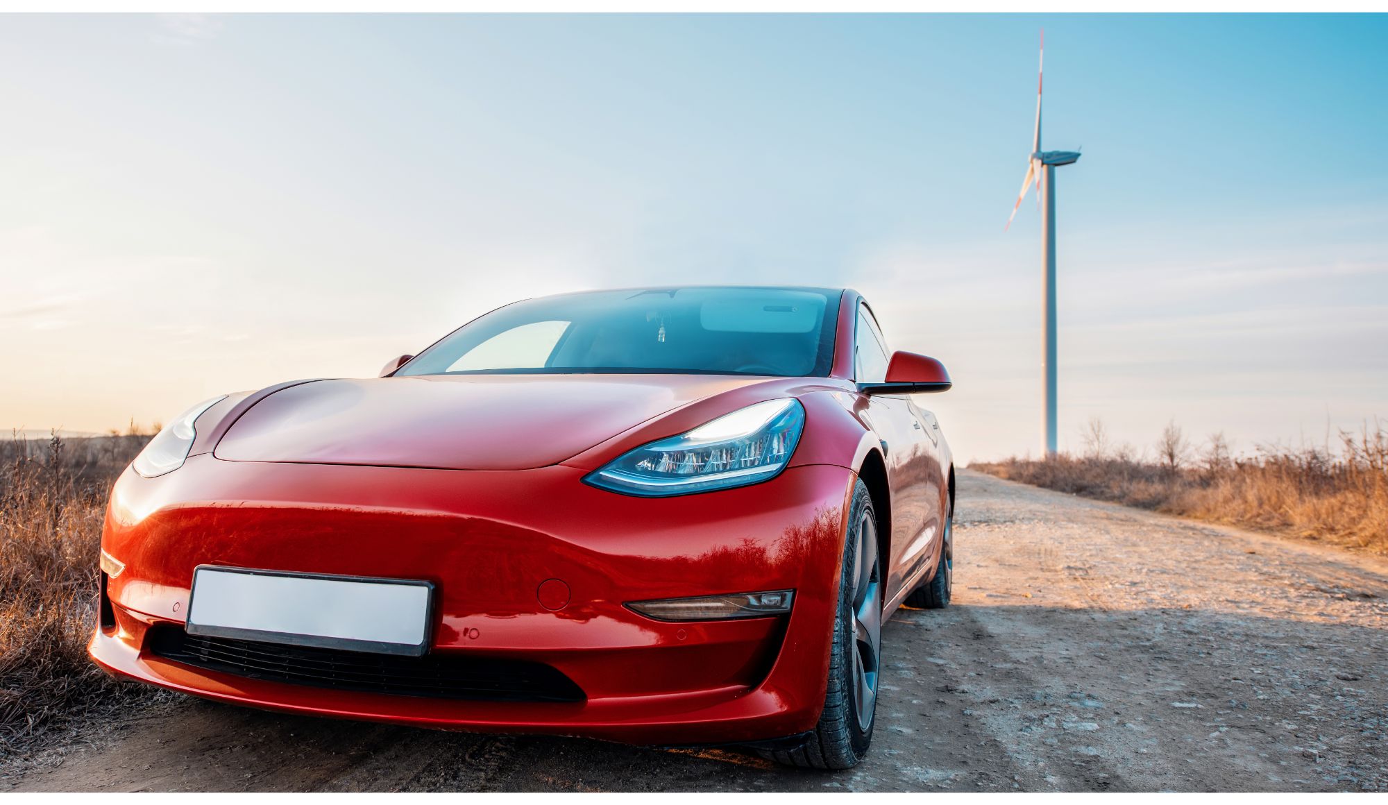 Spotlight: Will Tesla Make You Rich?
