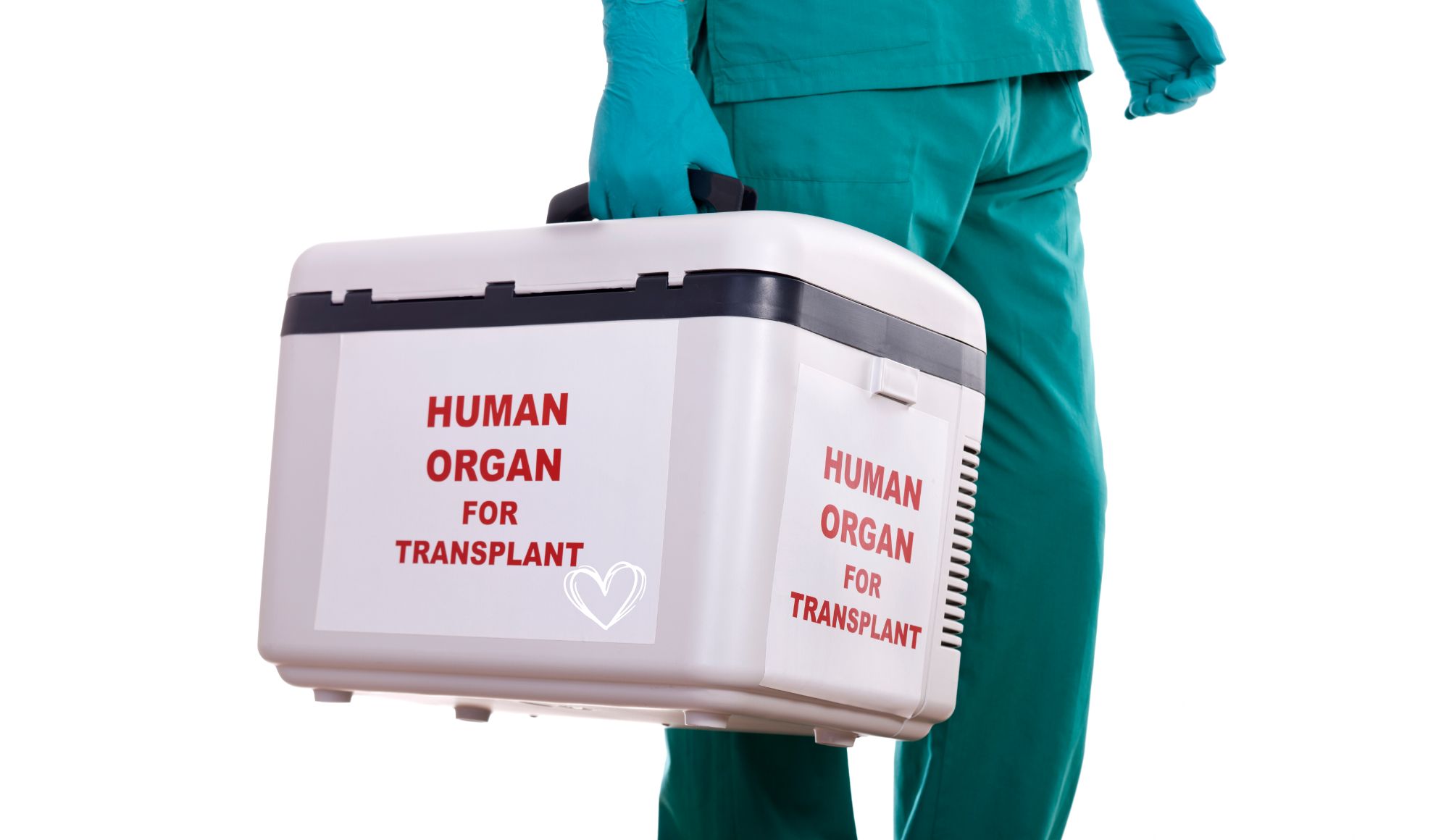 1 Organ Transplant Disruptor to Buy on the Dip